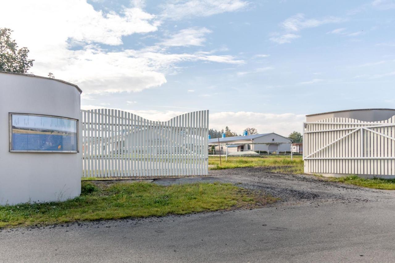 Farma Slunecny Dvur Apartmany A Family Stany Strecha Pod Strechou Hermanuv Mestec Eksteriør billede
