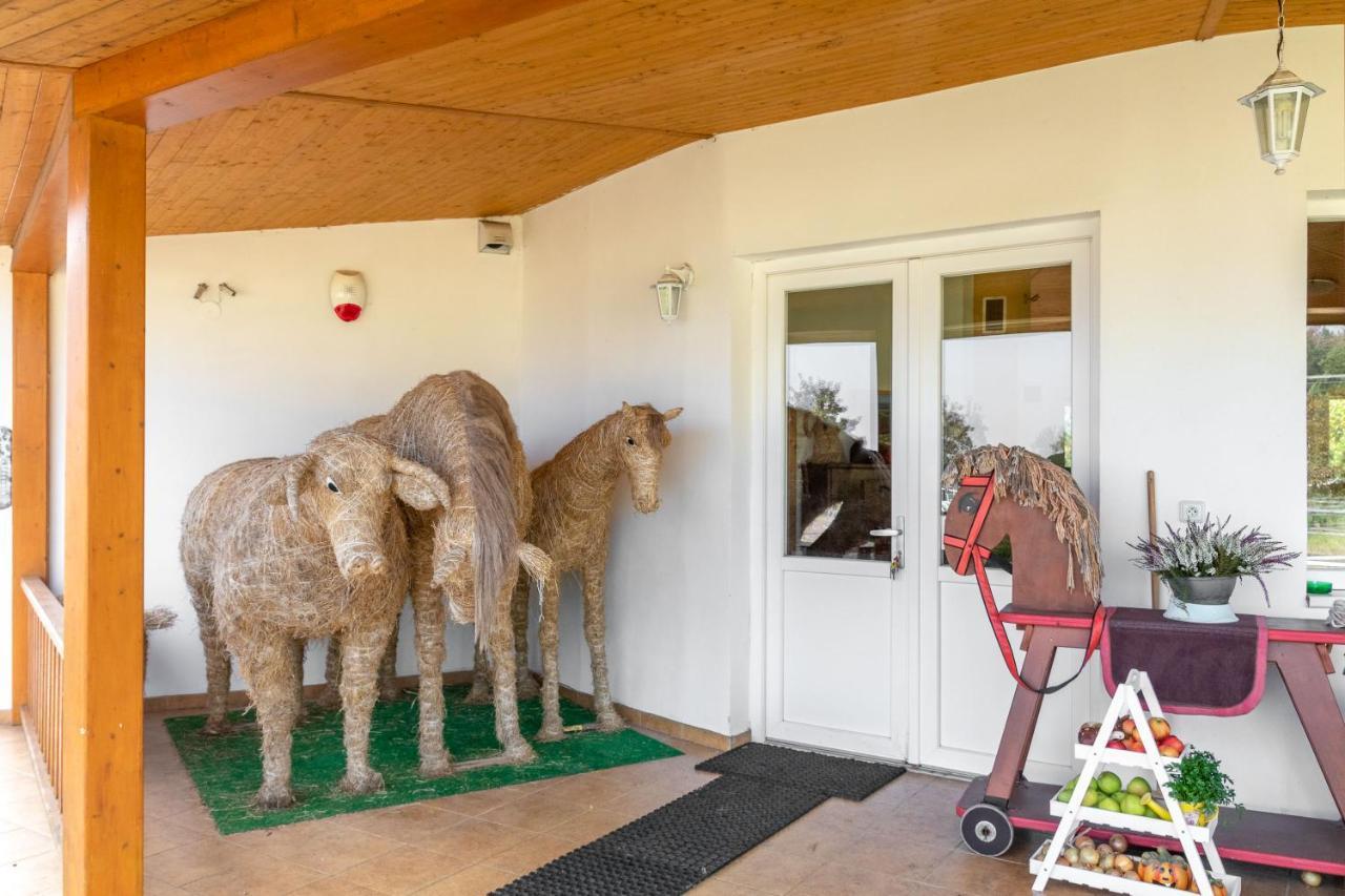 Farma Slunecny Dvur Apartmany A Family Stany Strecha Pod Strechou Hermanuv Mestec Eksteriør billede