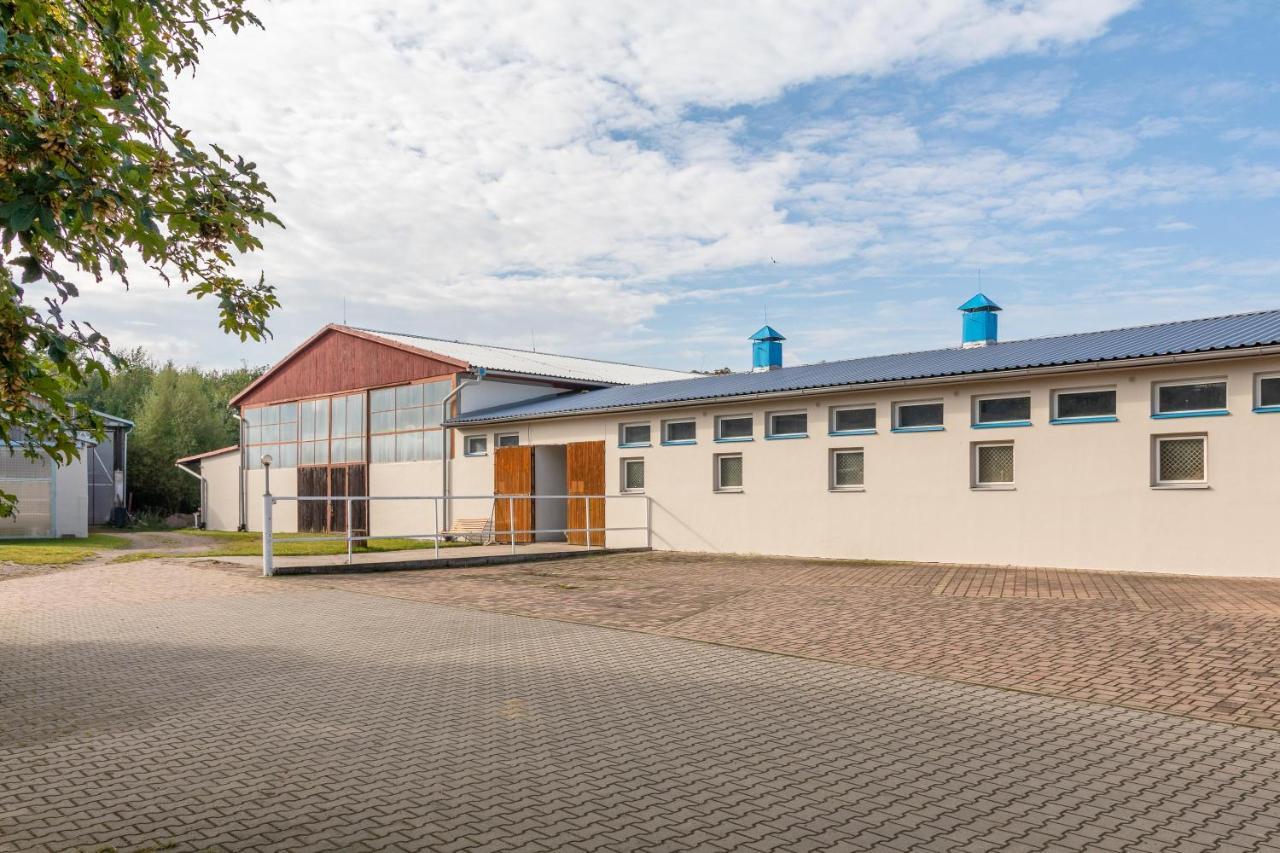 Farma Slunecny Dvur Apartmany A Family Stany Strecha Pod Strechou Hermanuv Mestec Eksteriør billede