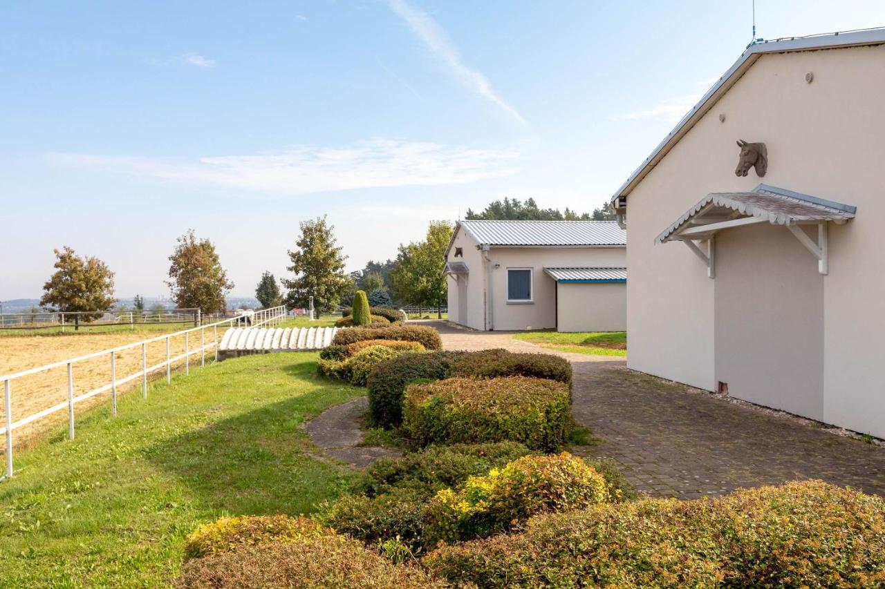 Farma Slunecny Dvur Apartmany A Family Stany Strecha Pod Strechou Hermanuv Mestec Eksteriør billede
